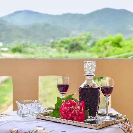 House Ilias Appartement Sarti